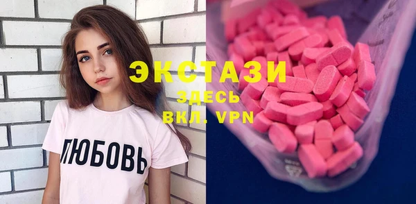 ECSTASY Богданович