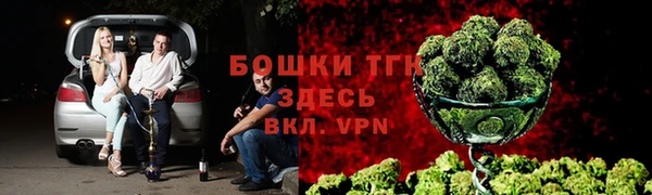 ECSTASY Богданович