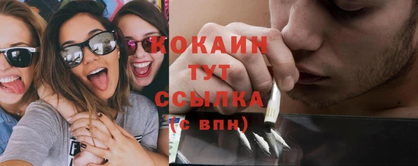 ECSTASY Богданович