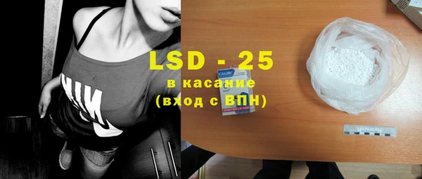 ECSTASY Богданович