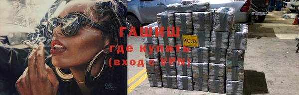 ECSTASY Богданович