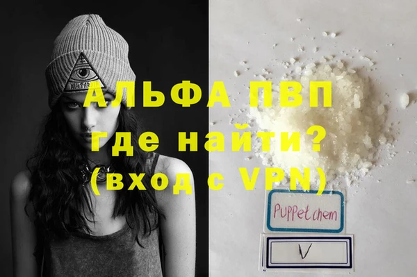 ECSTASY Богданович