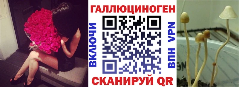 darknet телеграм  продажа наркотиков  Пестово  Галлюциногенные грибы прущие грибы 